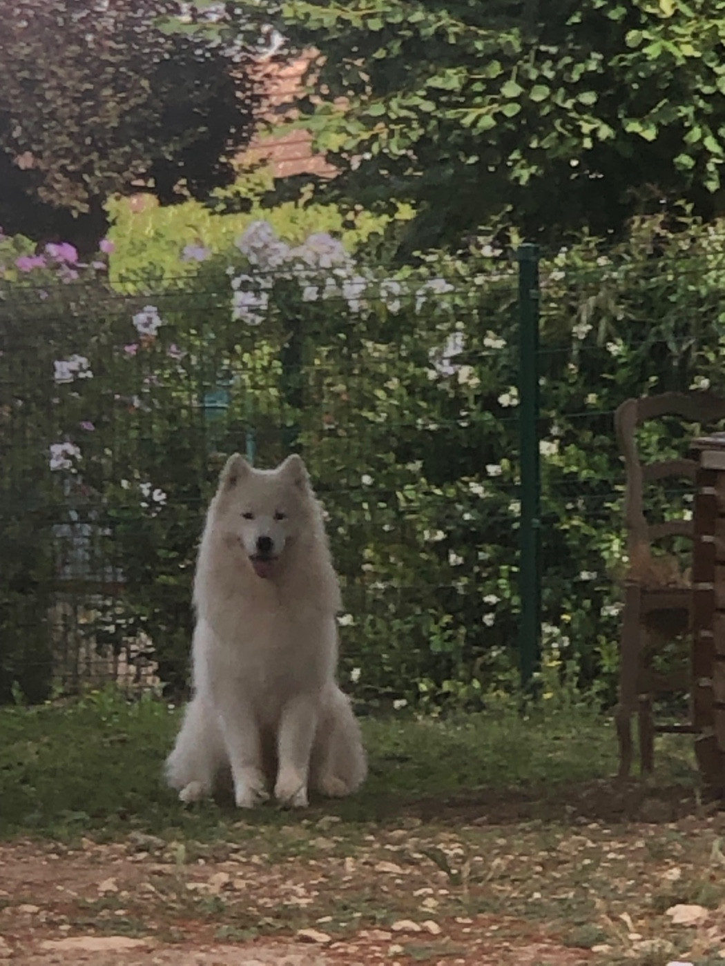 R'Alba Of Dark Eternal Snow