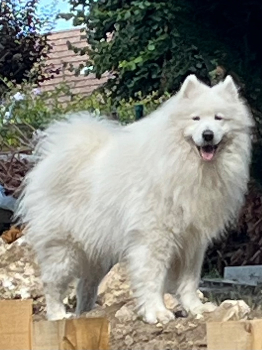 The White Paradise Du Val Danton