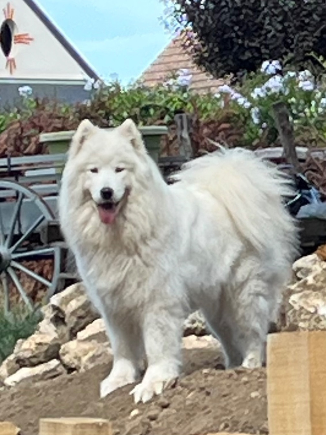 R'Alba Of Dark Eternal Snow